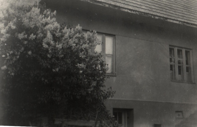 Dom Michala Šintaja a jeho francúzke okná - fotoarchív:Mlynarčíková Anna r. Šintajová - 50 -te roky