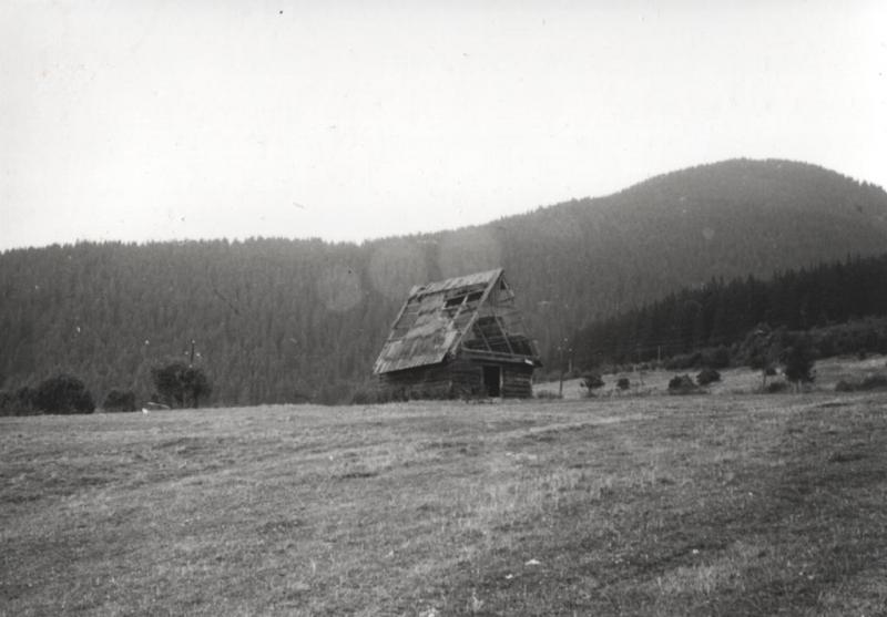 Senník na hladkých lúkach - fotoarchív:Ľubomír Dlháň - nedatované