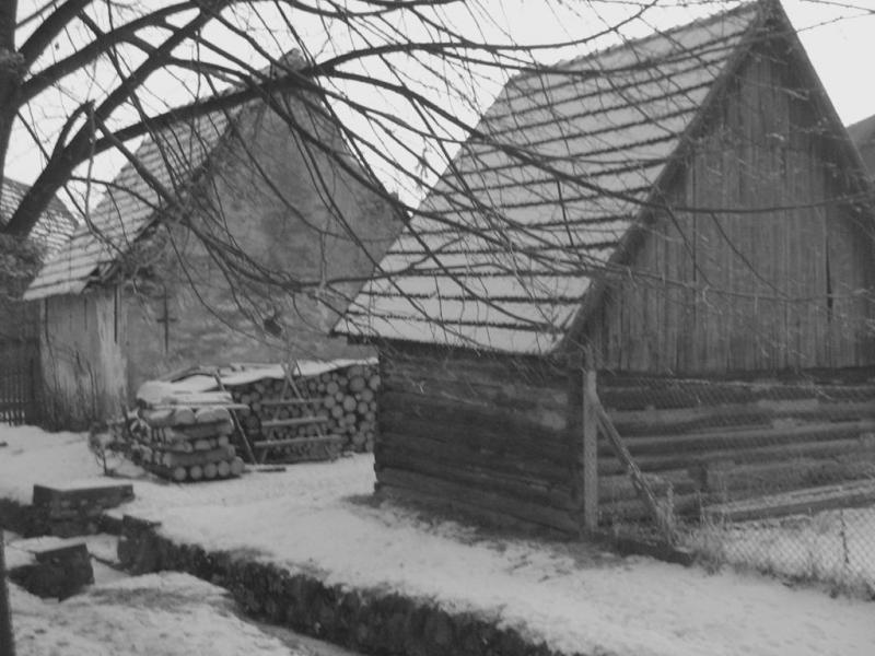 Sypárne pri dedinskom potoku - fotoarchiv:Račko Miroslav - 2007