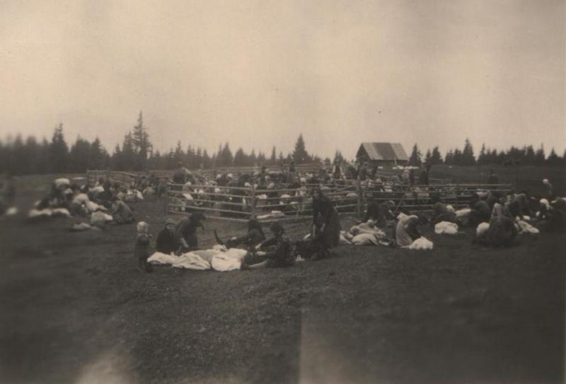 Strihanie oviec na Soiliskách - fotoarchív:Magda Jurčová  r.Pelachová - nedatované