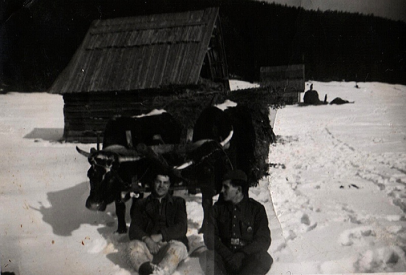 Na volkoch po seno Pod  Plieškom - fotoarchív:Eva Kušnierová - 1933