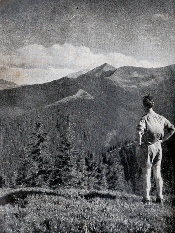 Pohľad na hrebeň Západných Tatier od severozápadu Končistá, Klin, Bystrá - fotoarchív: Jozef Nižňanský - 1956