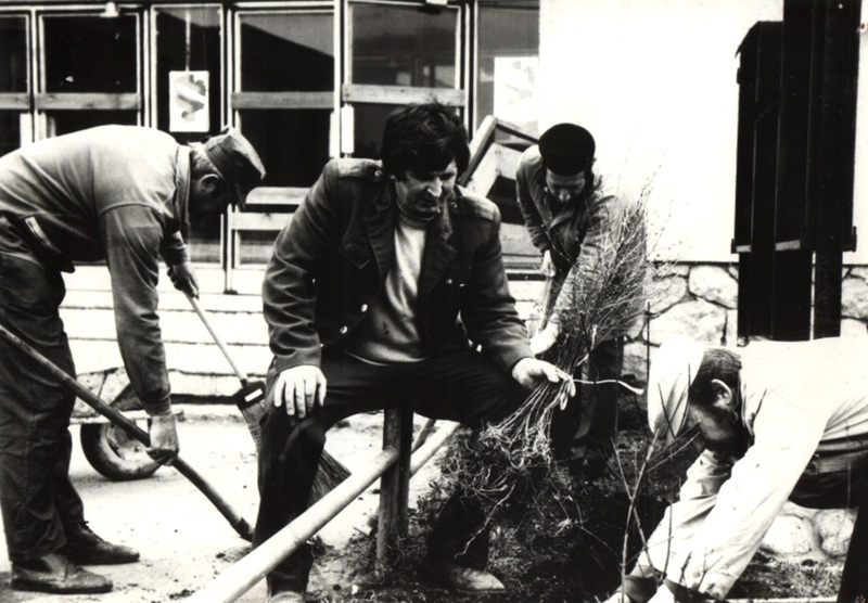 Výsadba stromčekov okolo KD - fotoarchív: Kronika  - 1974