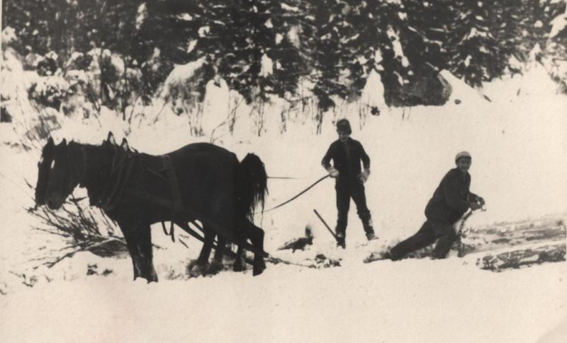 Ťahanie dreva v Tichej doline - fotoarchív:Plučinský Rudolf - nedatované