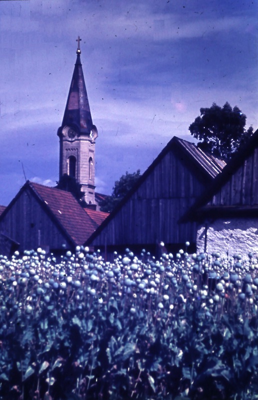 Pohľad na Pribylinský kostol zo záhumnia - Miroslav Račko st. diapozitív - 1961