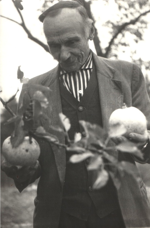 Včelár a ovocinár Michal Benko - fotoarchív:Vierka Pozorová r.Benková - 1964