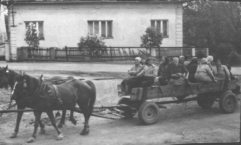 Ideme do poľa - fotoarchiv:Irena Majzlíková - nedatované