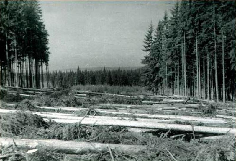 Odlesňovanie telesa cesty - fotoarchív:trampnet - Luby Domes - 50-te roky