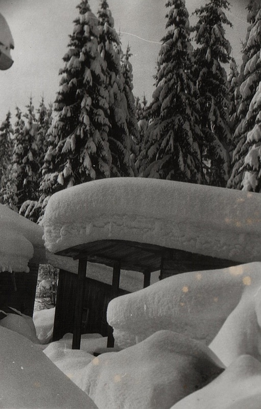 Zasnežené zruby na Podbansku - fotoarchív:Dana Čučková r.Mikušová - nedatované