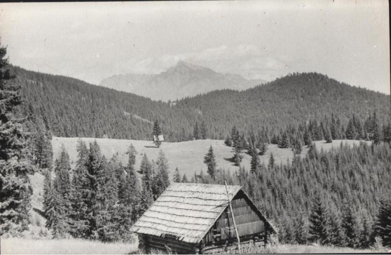 Pohľad na Kriváň z Páleníc - fotoarchiv:Belomír Račko - 1967