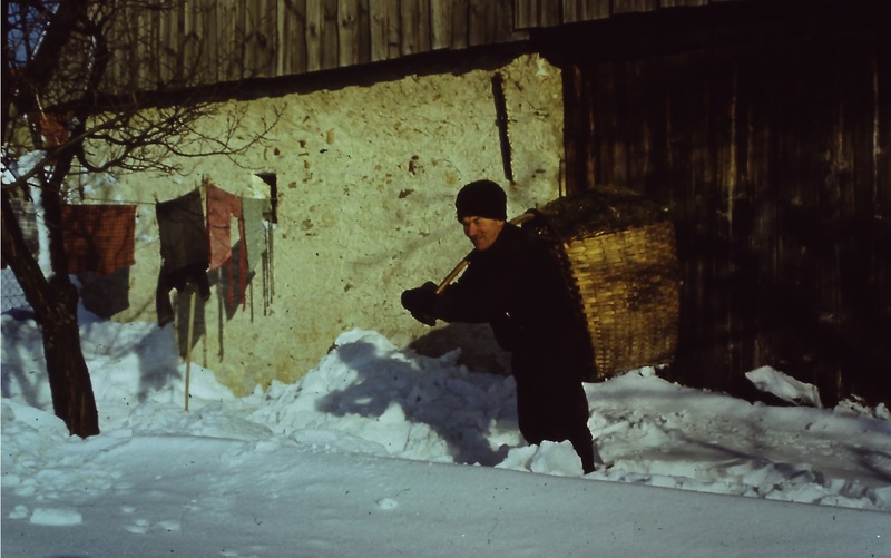 Palo Račko  - príprava krmiva pre ovce v zime - Miroslav Račko st. diapozitív -  asi 1983