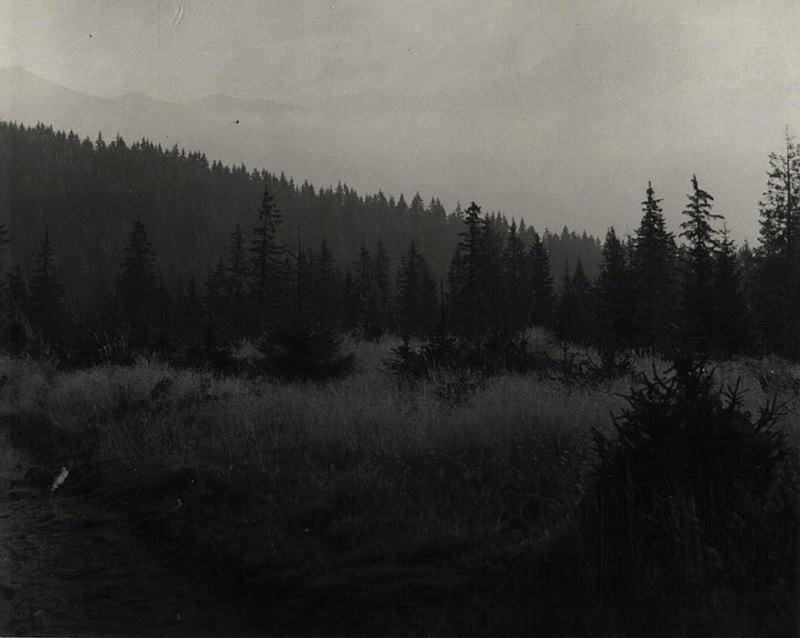 Smreková mladina na Skalke - fotoarchív: Miroslav Račko st. - asi 1960