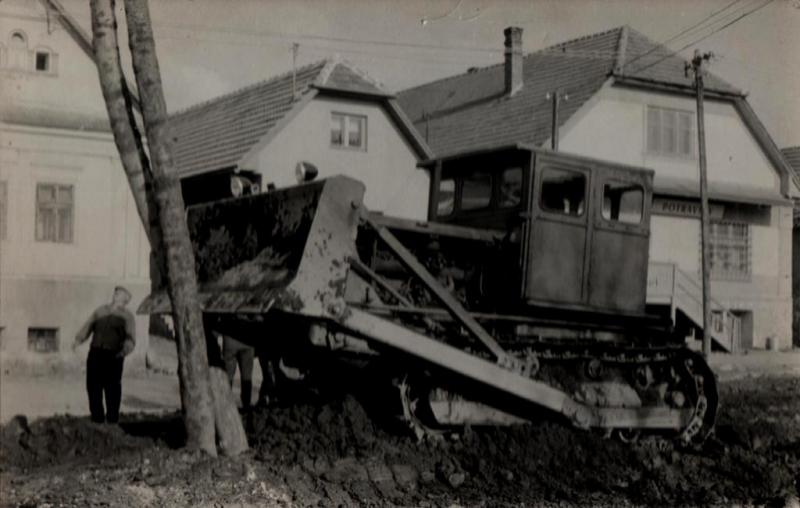 Stalinovec vála strom - fotoarchiv:Dušan Jurík - 70-te roky