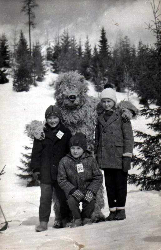  Maco čo zabudol na zimný spánok - fotoarchív: Balažic Ľubomír - asi 1970