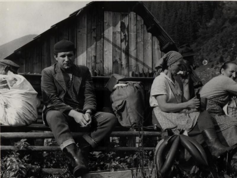 Strihanie oviec na Žihľavníku - fotoarchiv:Ľubomír Balažic - nedatované