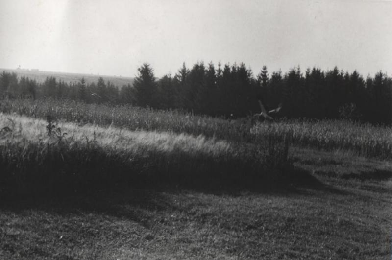 Bocian prelieta polia ponad Diel - fotoarchív:Ĺubomír Dlháň