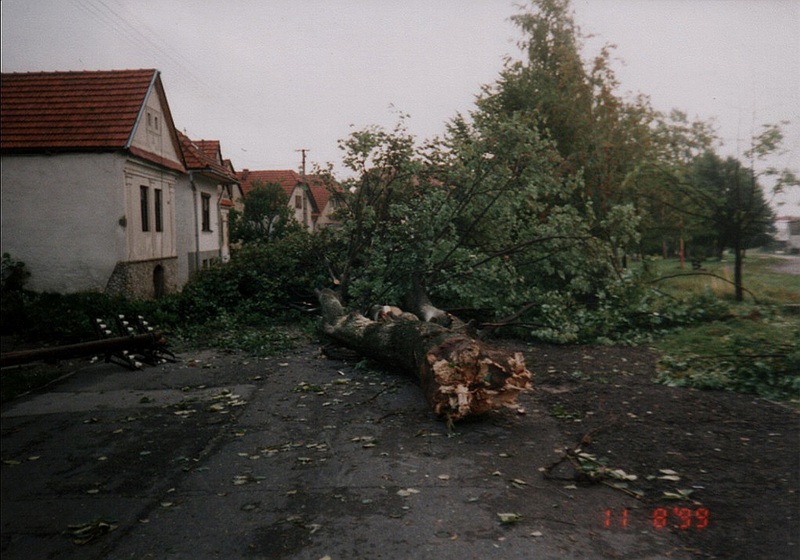 Veterná smršť v Pribyline - fotoarchív:Dana Čučková r.Mikušová - 11.8:1999