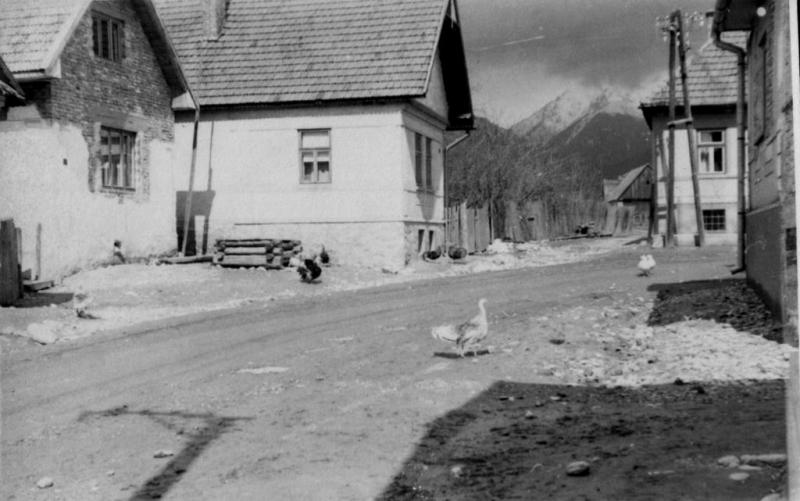 Cesta na Dlhé - fotoarchív:Ján Vandriak - 1950