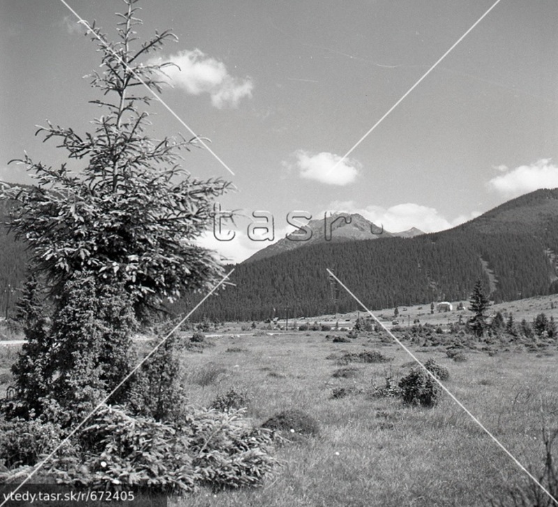 Pohľad na ľúky pod Kejdákon kde prebiehala v 60 tych rokoch výstavba automatického hnojenia a meliorácií - TASR - 1967