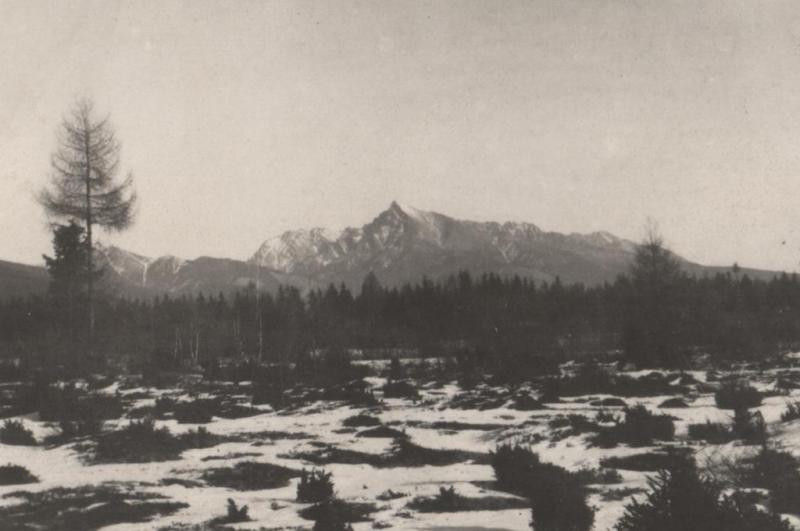 Pohľad na Kriváň od Račkového potoka - fotoarchiv:Belomír Račko - 1965