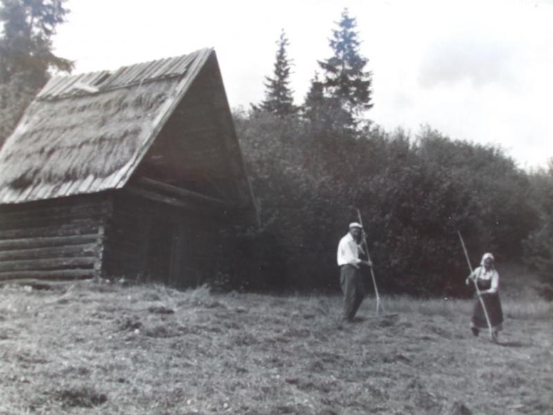 A dokonale zahrabať - fotoarchiv:Račko Miroslav - asi 1965