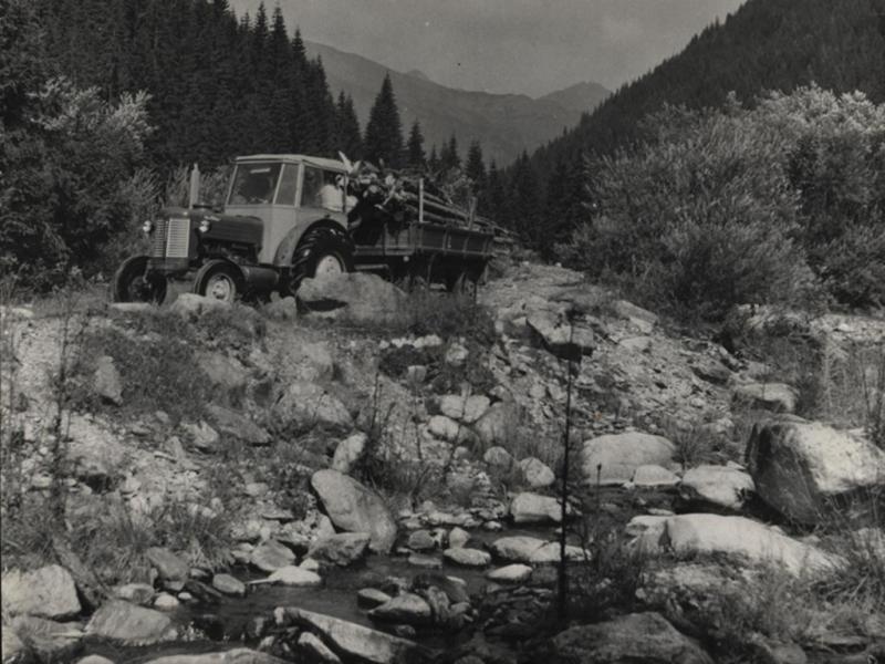 Zvážanie dreva  z Račkovej doliny - fotoarchiv:Račko Miroslav st. - 1962