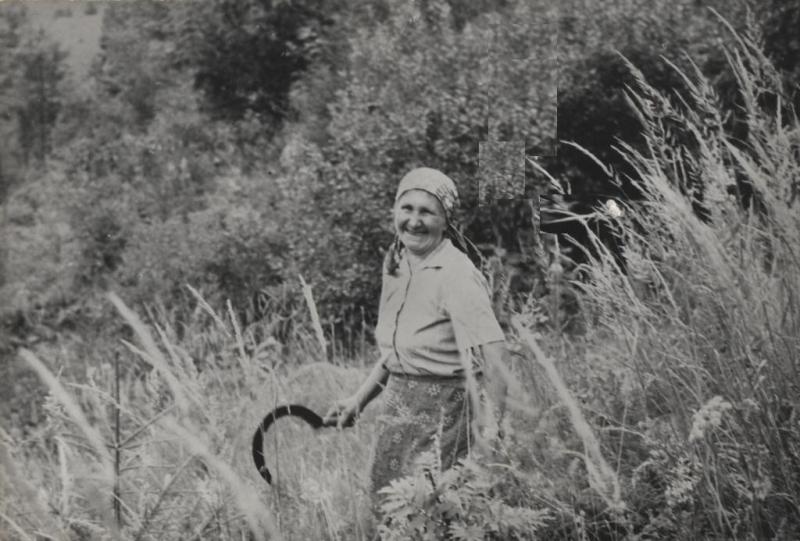 Ochana proti burine - vyžínanie - fotoarchív:Belomír Račko - nedatované