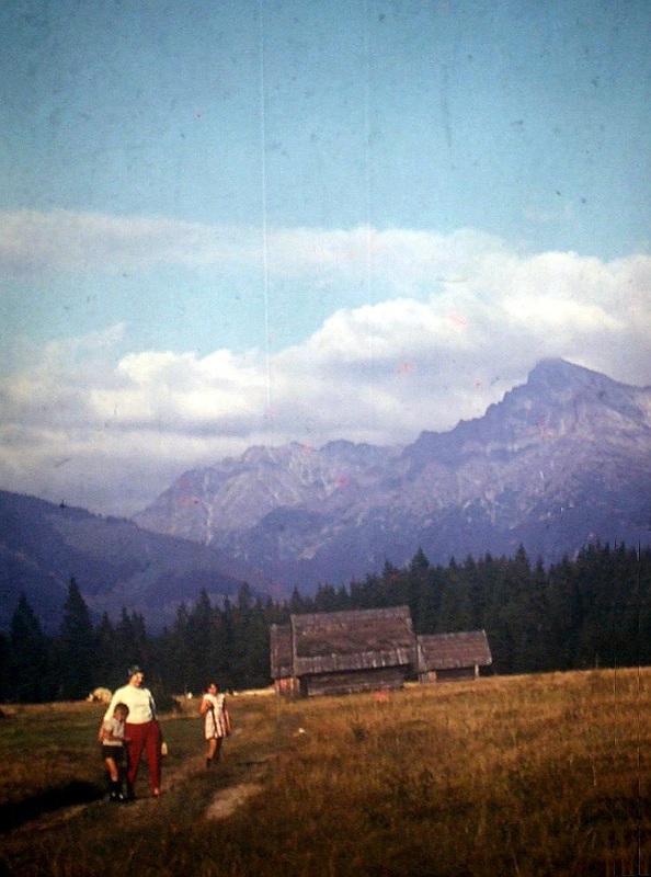 Skupina senníkov pod Surovým Hrádkom - fotoarchív: Miroslav Račko st. - 1961