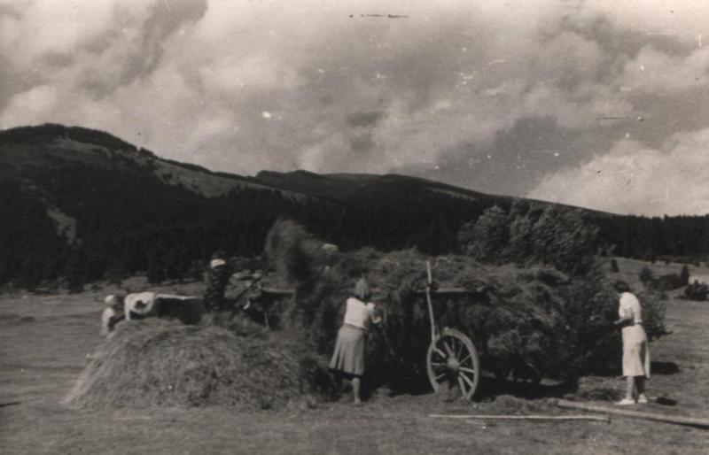 Nakladanie na rebriniak - fotoarchív:Zorka Beharková - 14.7.1939